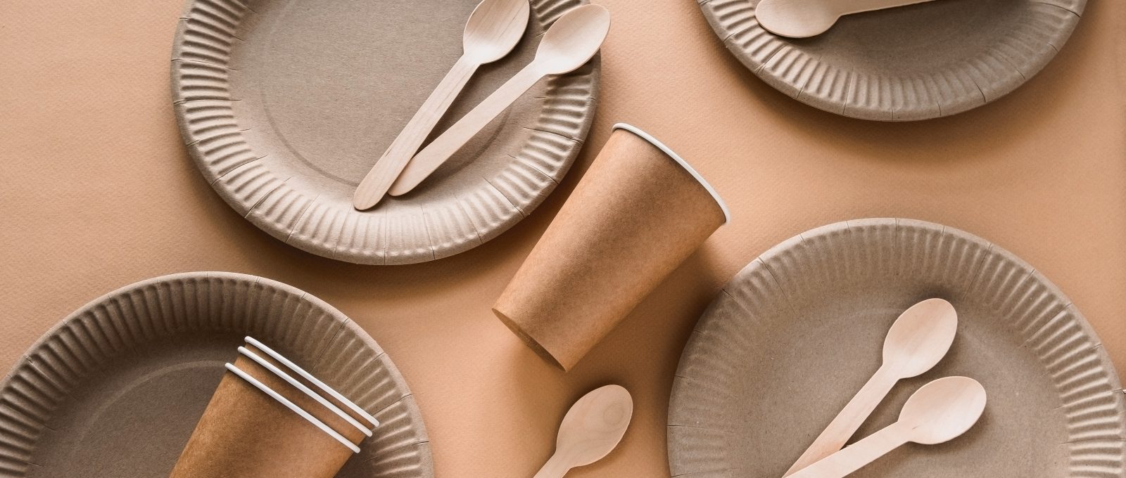 Biodegradable Packaging