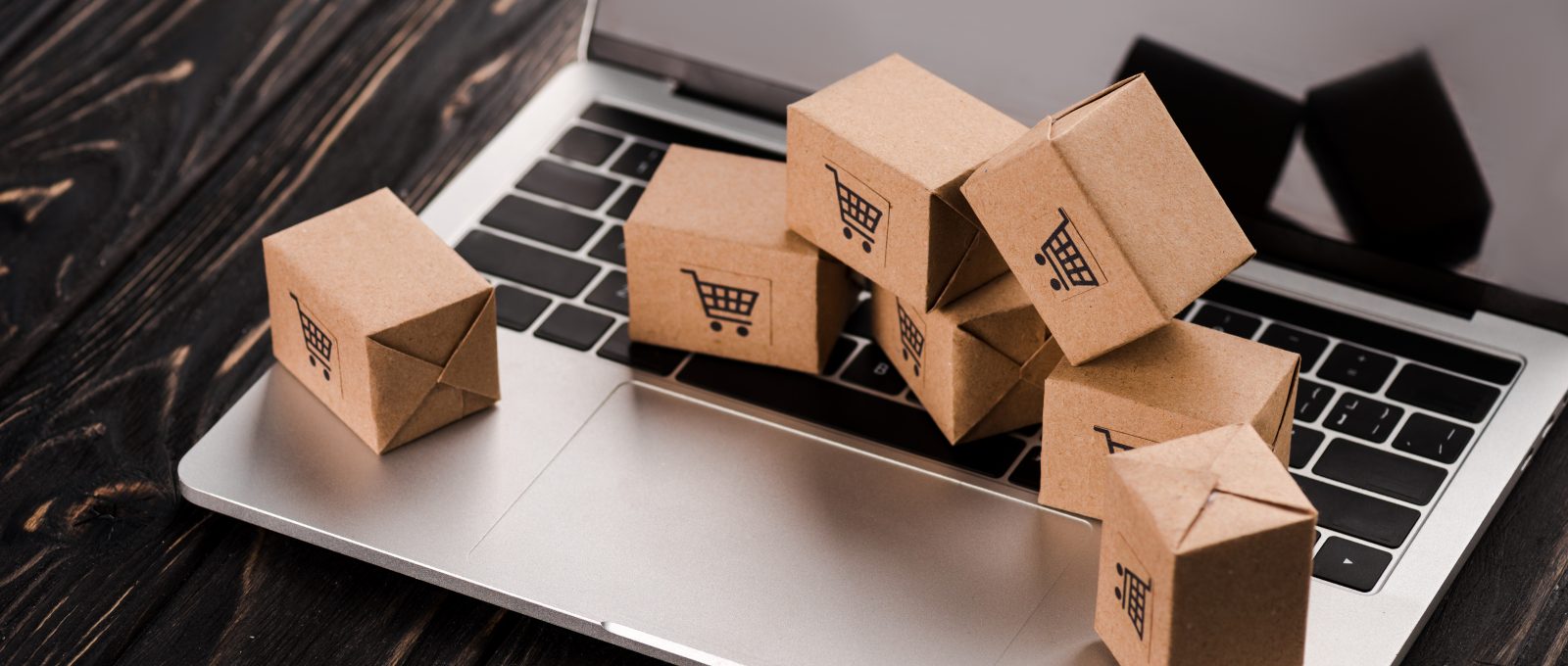 Dropshipping Niche